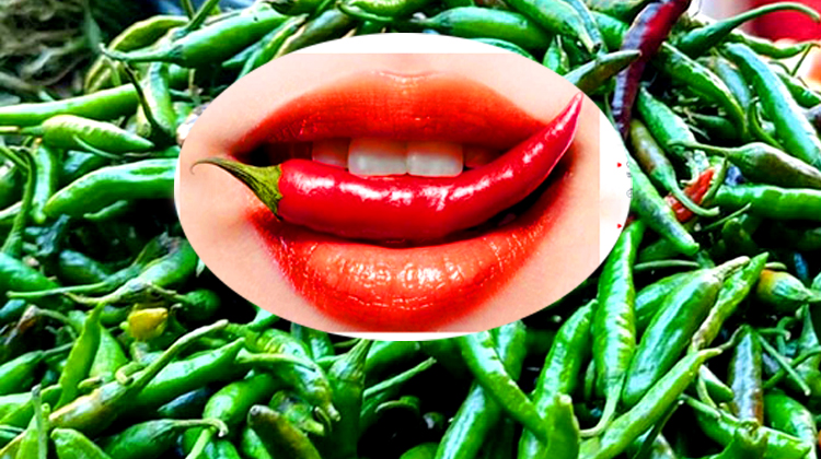 মরিচ খান আয়ু বাড়ান