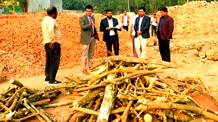 টাঙ্গাইলে ইটভাটাতে কাঠ দিয়ে পোড়ানোয় ১ লক্ষ টাকা জরিমানা