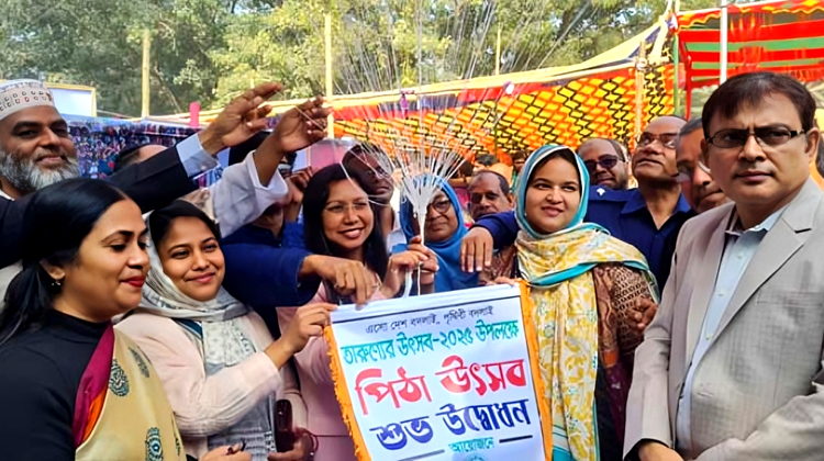 টাঙ্গাইলের বাসাইলে তারুণ্য ও পিঠা উৎসব অনুষ্ঠিত