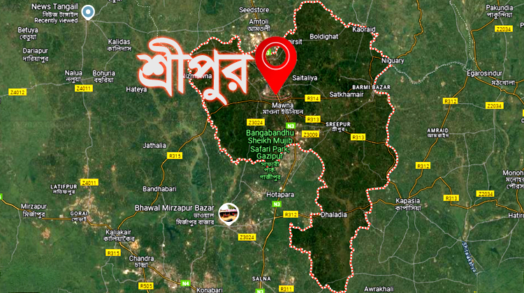 রাতে স্বামীর পুরুষাঙ্গ কাটতে ব্যর্থ হয়ে সকালে তালাক দিল স্ত্রী!
