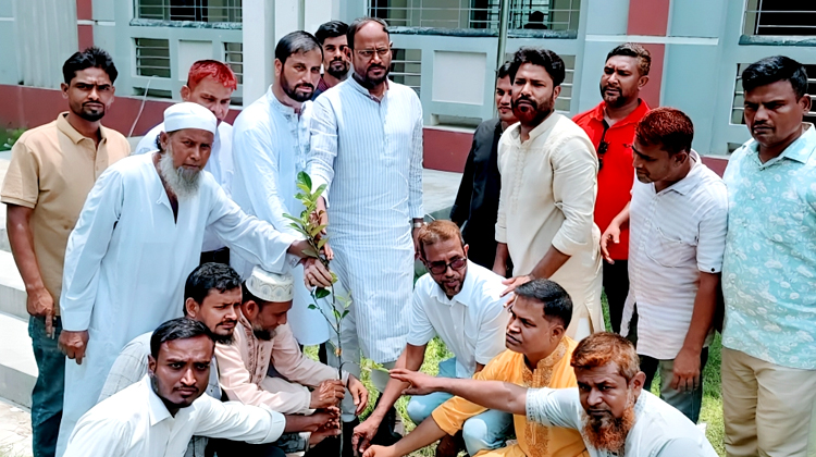 টাঙ্গাইলে বিভিন্ন শিক্ষা প্রতিষ্ঠানে সুলতান সালাউদ্দিন টুকুর বৃক্ষরোপণ