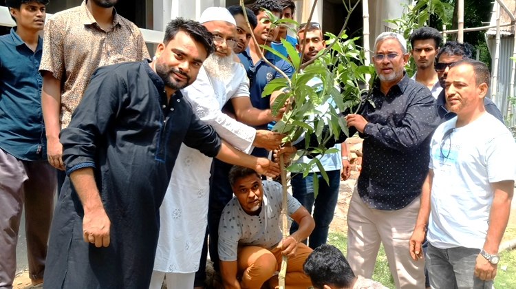 শিক্ষা প্রতিষ্ঠানে সুলতান সালাউদ্দিন টুকুর পক্ষ থেকে বৃক্ষরোপণ