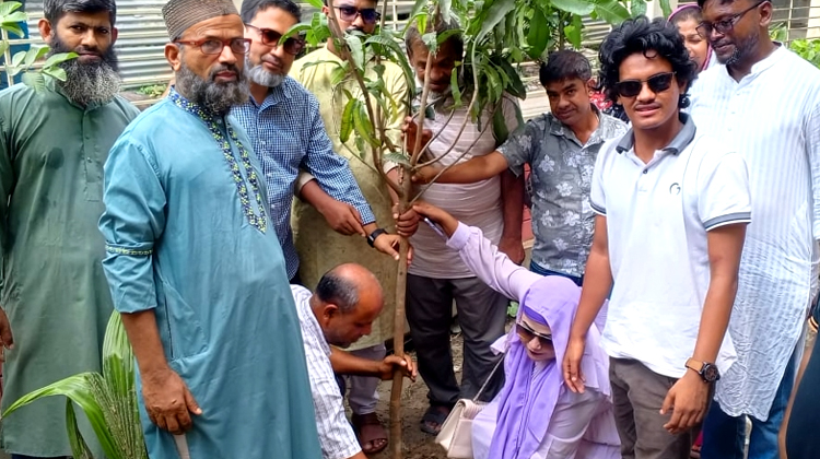 কাকুয়া ইউনিয়নে সুলতান সালাউদ্দিন টুকুর পক্ষে বিনামূল্যে গাছের চারা বিতরণ